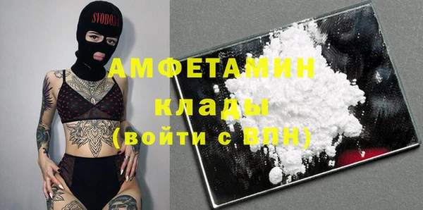 метадон Алексин